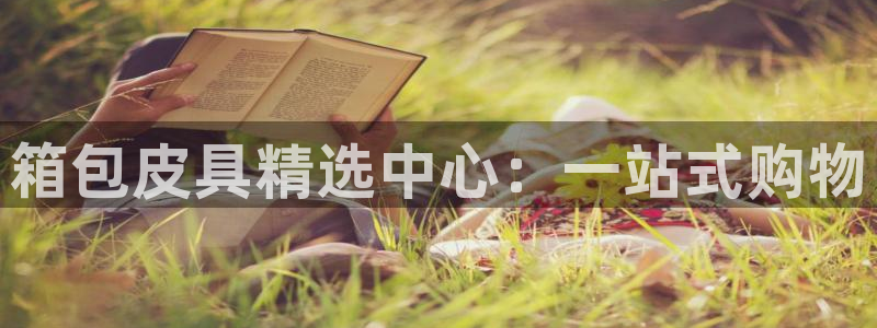 必一体育登入
