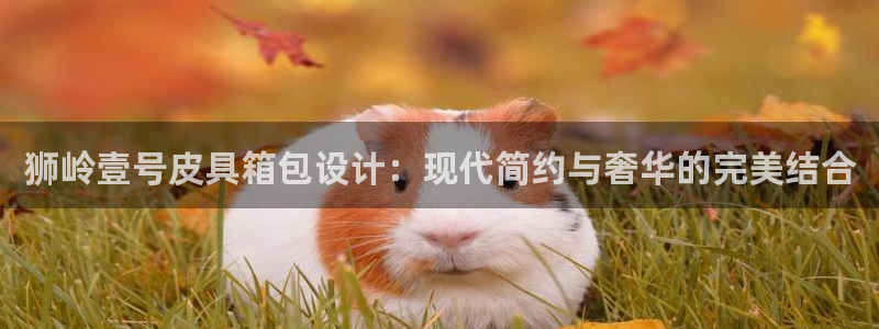 必一体育运动app下载