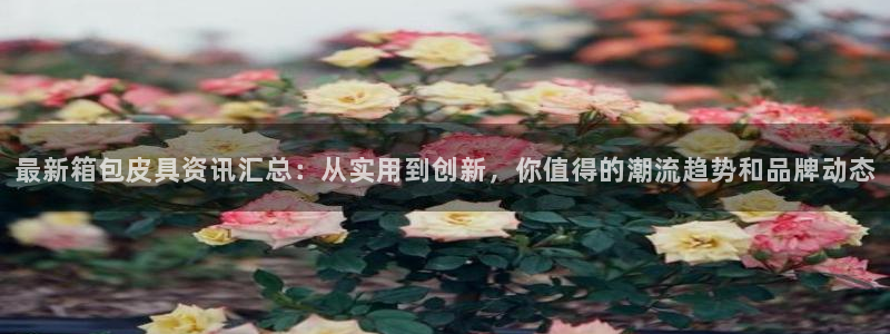 必一体育运动下载