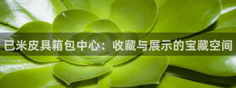 必一体育app官方下载入口