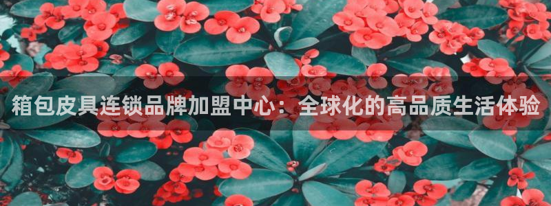 必一运动B-Sport官方网站入口