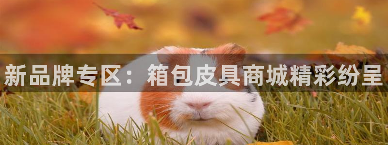 必一体育皮尔斯